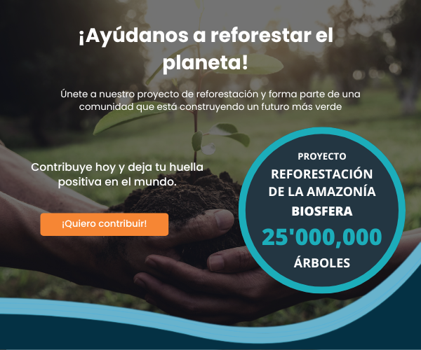 Reforestaci��n